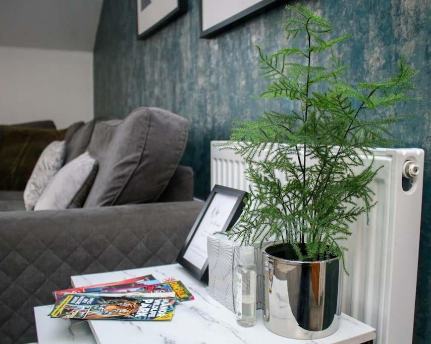 Luxe Living Guest House-Sleeps 6-Private Parking-Free Wifi-Beach-City Суонзи Екстериор снимка